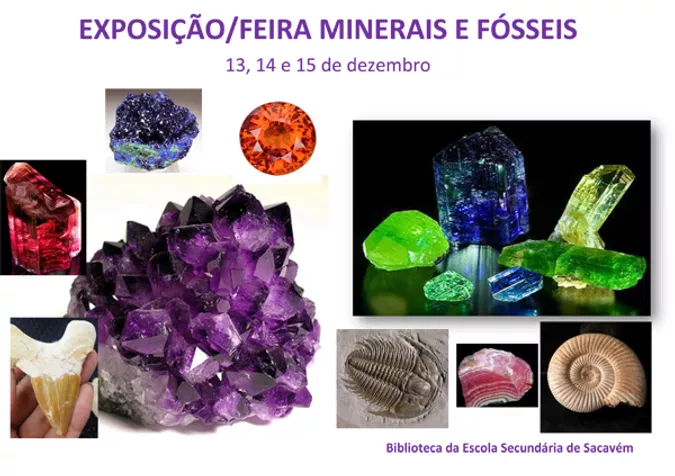 Read more about the article Feira dos Minerais